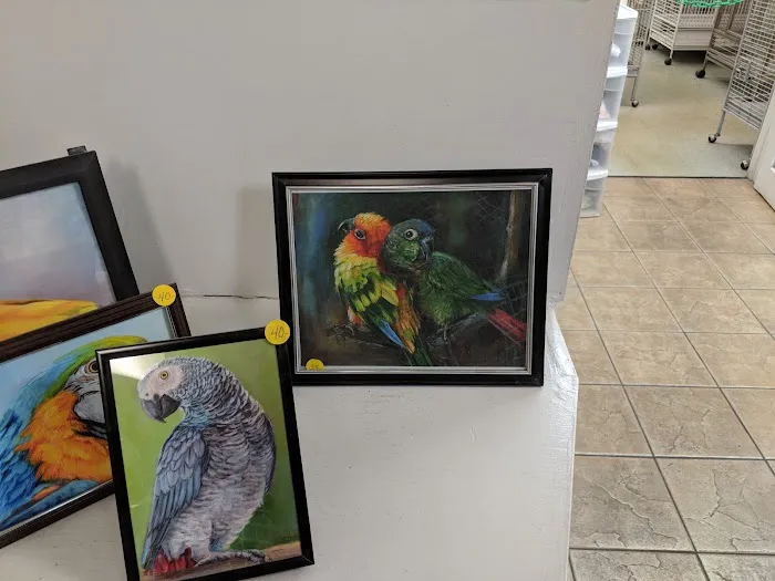 Jo's Exotic Birds Ltd Picture 8