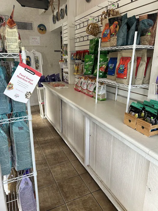 Jo's Exotic Birds Ltd Picture 6