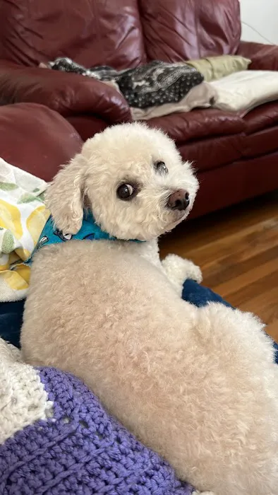 Banfield Pet Hospital Picture 3