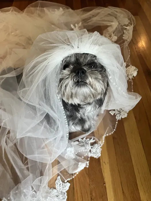 Banfield Pet Hospital Picture 1