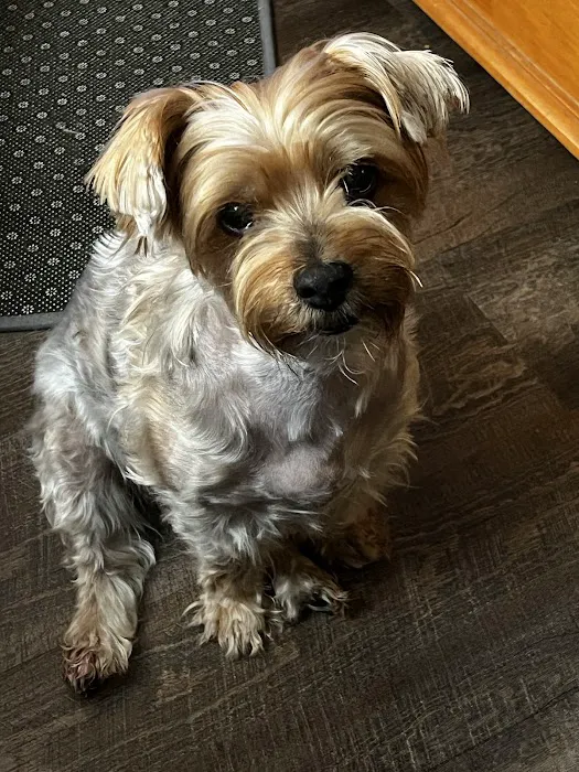 Banfield Pet Hospital Picture 4