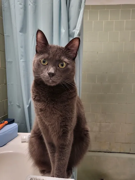 Banfield Pet Hospital Picture 8