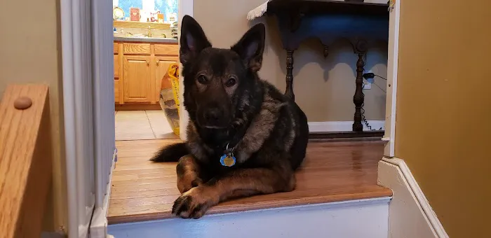 Banfield Pet Hospital Picture 6