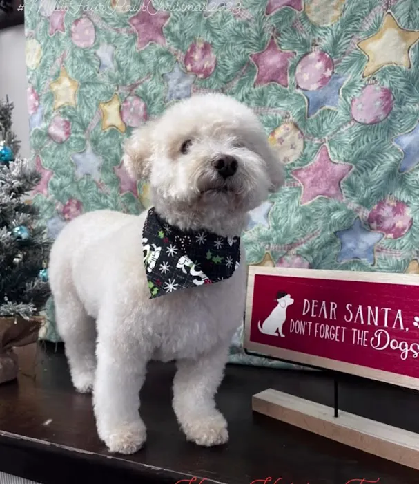 Banfield Pet Hospital Picture 5