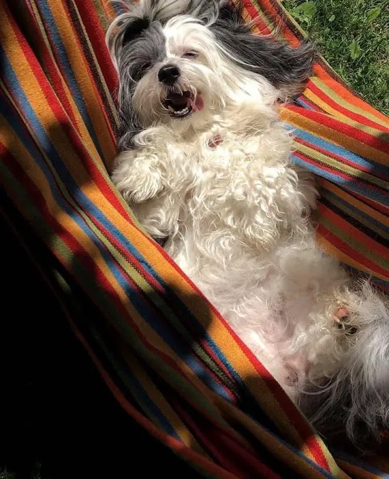 Banfield Pet Hospital Picture 2