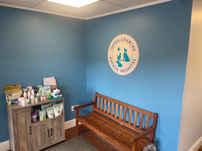 Upper Charles Animal Hospital Picture 8