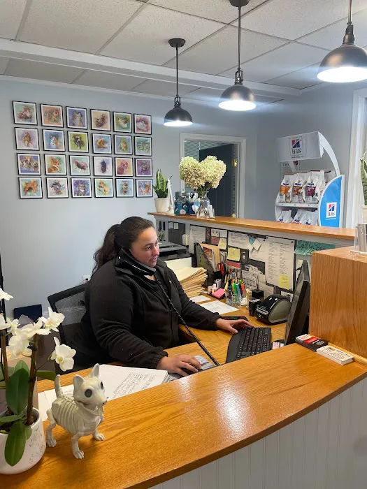 Upper Charles Animal Hospital Picture 10