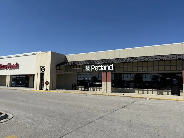 Petland Racine Picture 3