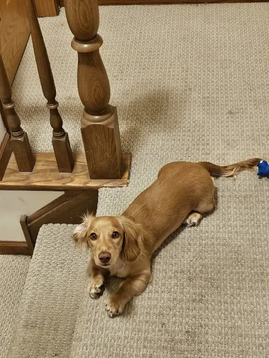 Petland Racine Picture 6