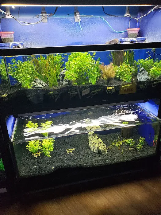 Petland Racine Picture 5