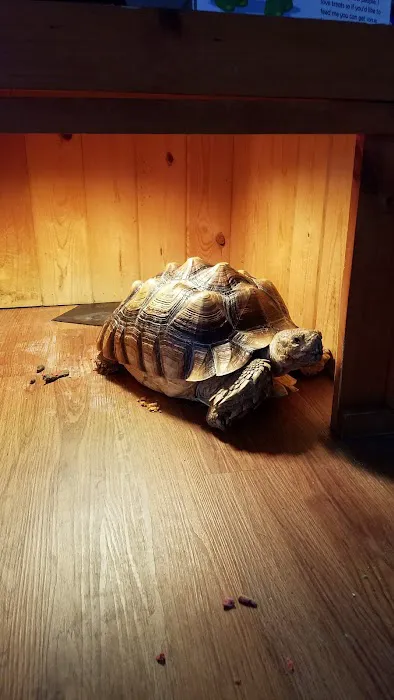 Petland Racine Picture 2