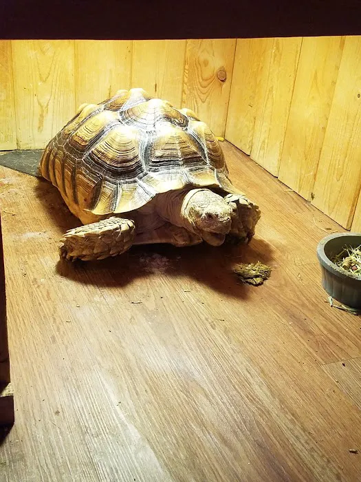 Petland Racine Picture 1