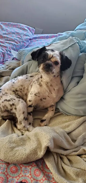 Petland Racine Picture 8