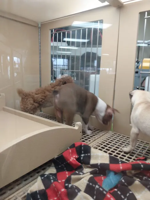 Petland Racine Picture 10