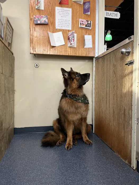 Havahart Pets Picture 2