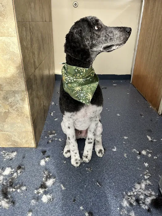 Havahart Pets Picture 1