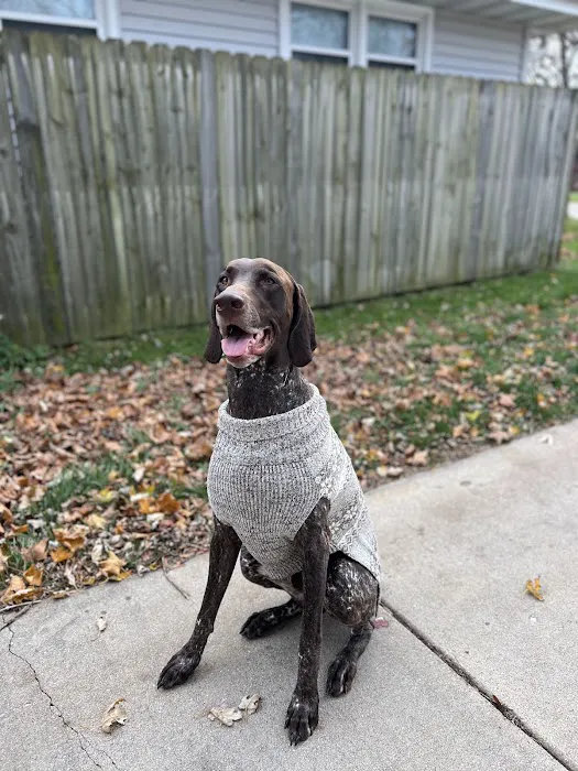 Havahart Pets Picture 9