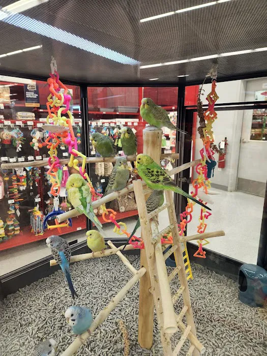 Petco Picture 8