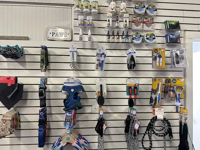 Unleeashed Picture 10