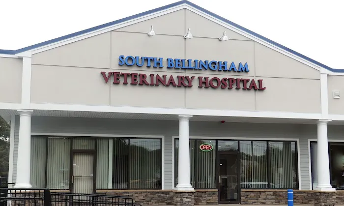South Bellingham Veterinary Hospital Picture 5