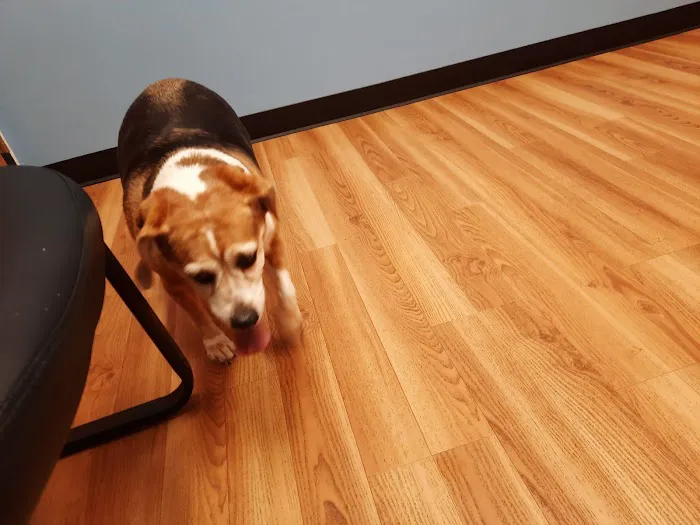 South Bellingham Veterinary Hospital Picture 4