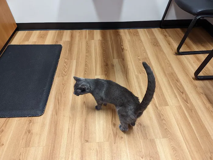 South Bellingham Veterinary Hospital Picture 1