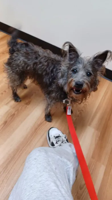 South Bellingham Veterinary Hospital Picture 3