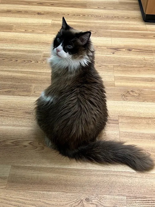 South Bellingham Veterinary Hospital Picture 8