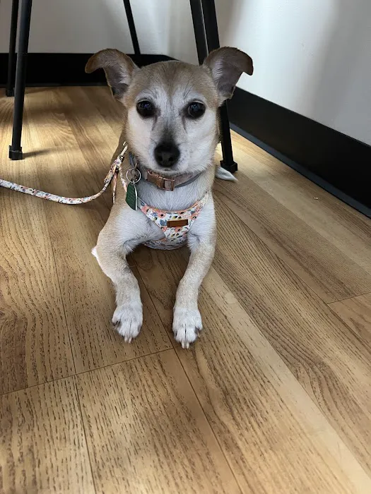 South Bellingham Veterinary Hospital Picture 10