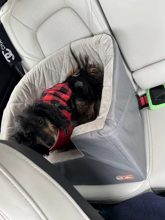 South Bellingham Veterinary Hospital Picture 7