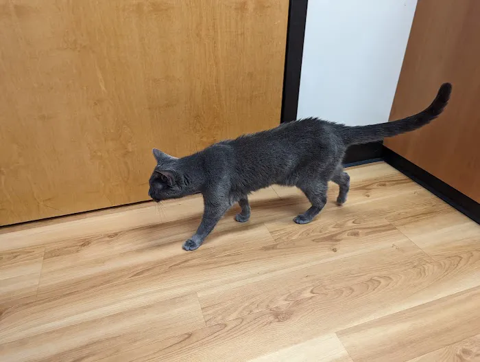 South Bellingham Veterinary Hospital Picture 9