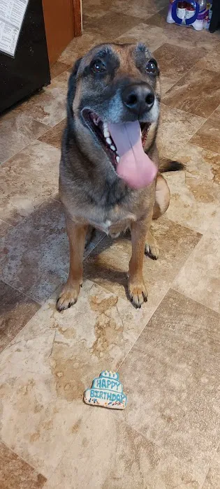 ChowChow Treats And Bakery LLC Picture 3