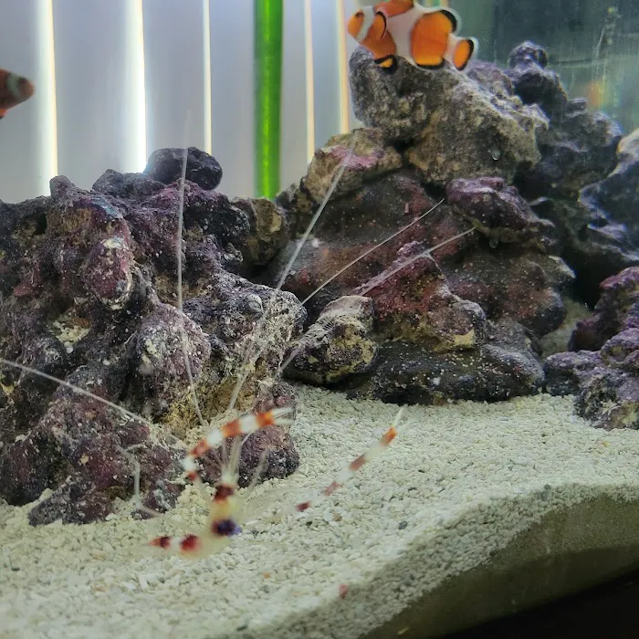 Wet Dreams Aquatics Picture 1