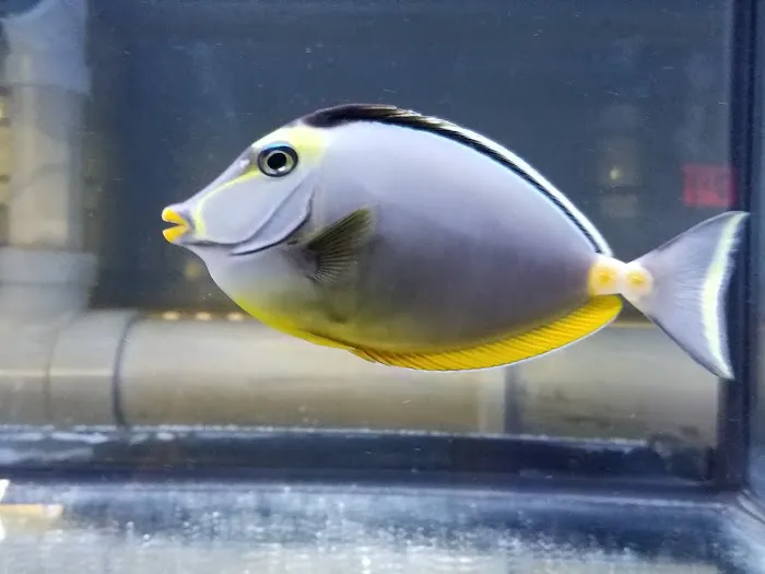 Wet Dreams Aquatics Picture 3