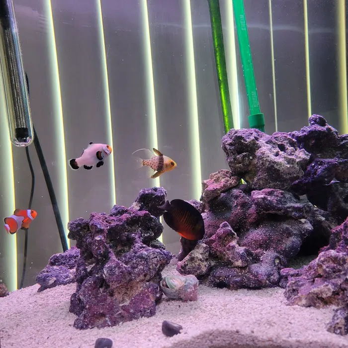 Wet Dreams Aquatics Picture 2