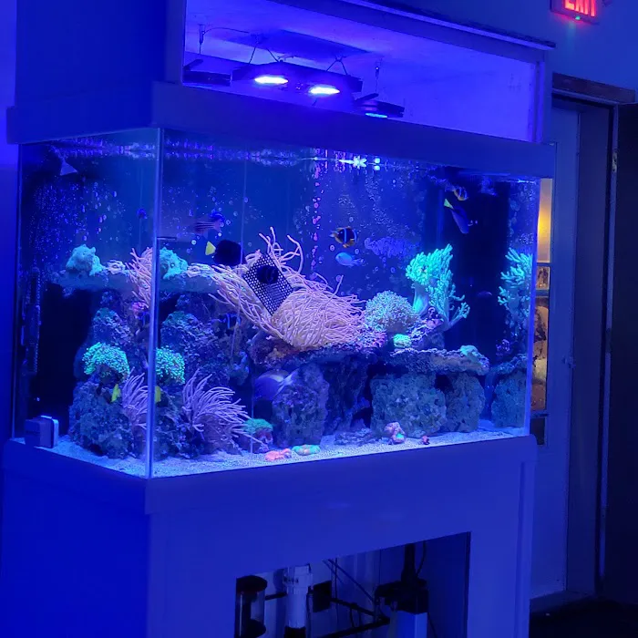 Wet Dreams Aquatics Picture 10