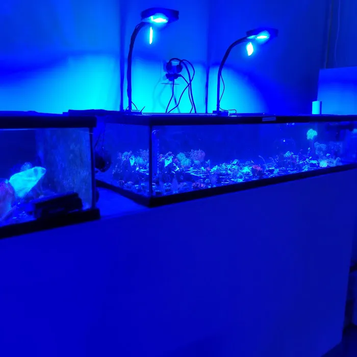 Wet Dreams Aquatics Picture 5