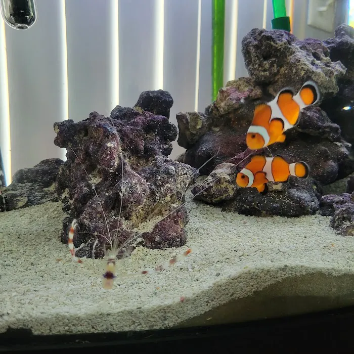 Wet Dreams Aquatics Picture 6