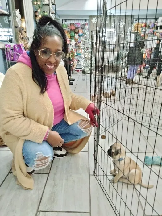 Puppyworld Picture 5