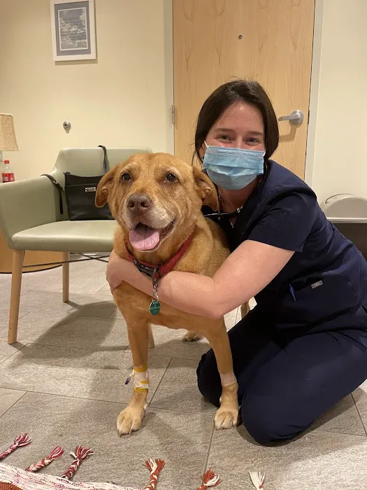 Foster Hospital for Small Animals Picture 3