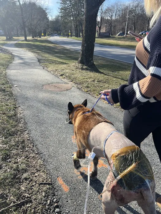 Foster Hospital for Small Animals Picture 10