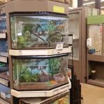 Petco