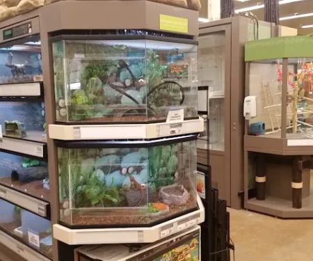 Petco