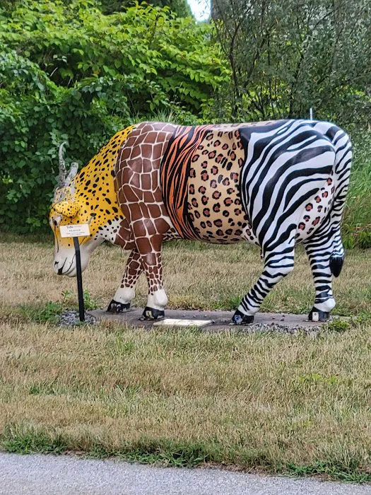 Tufts Wildlife Clinic Picture 9