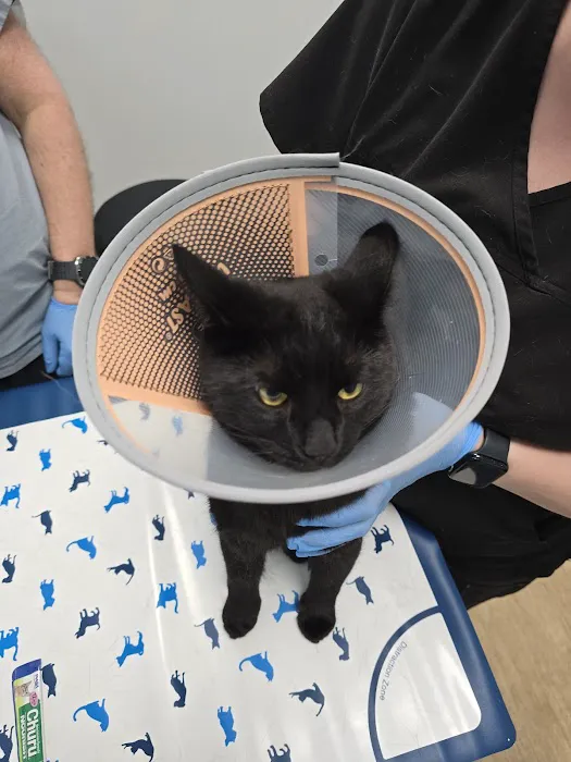 Veterinary Urgent Care Center - Worcester Picture 4