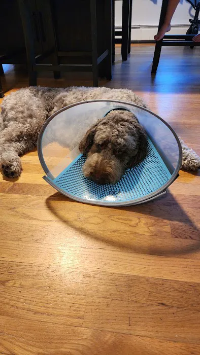 Veterinary Urgent Care Center - Worcester Picture 1