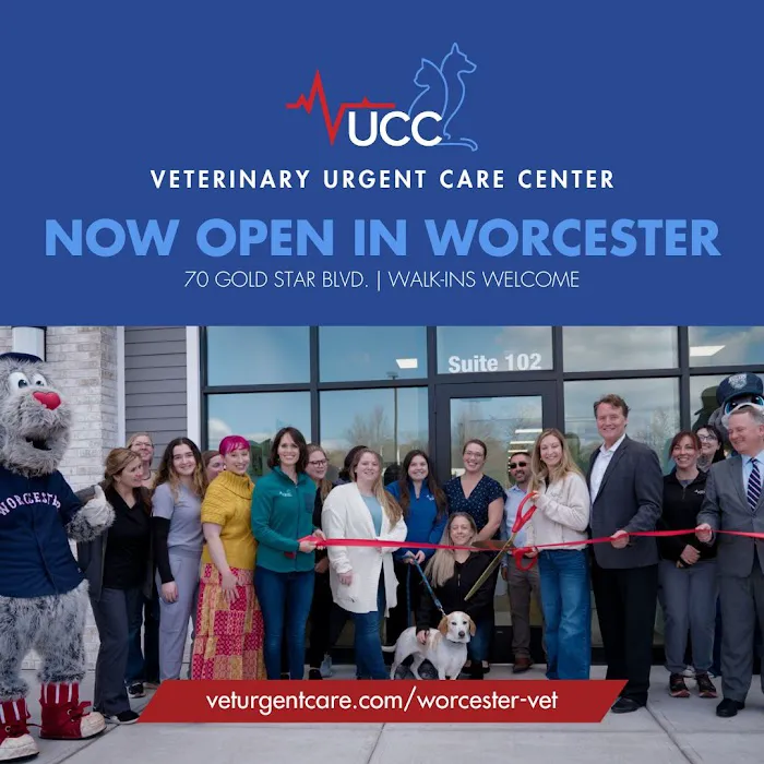 Veterinary Urgent Care Center - Worcester Picture 8