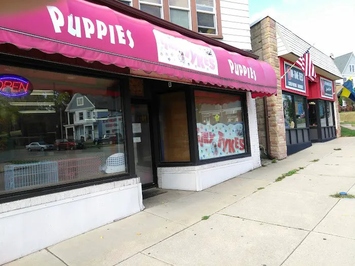 Tiny Tykes Puppies Picture 4