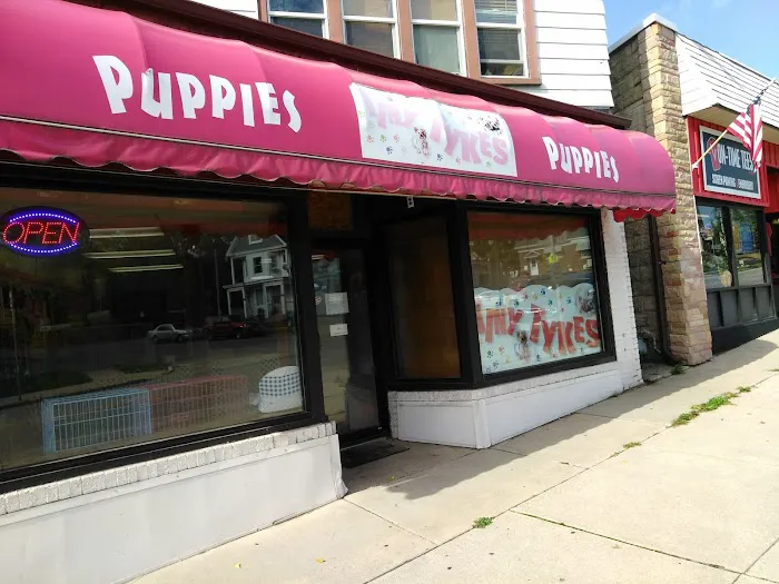 Tiny Tykes Puppies Picture 9