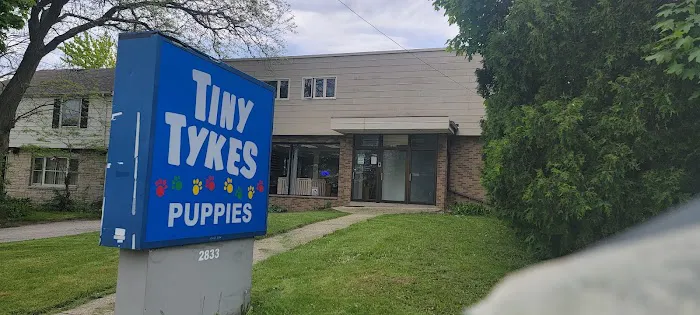 Tiny Tykes Puppies Picture 2